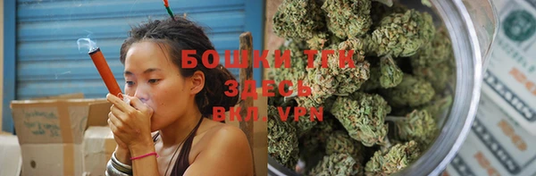 мдпв Сосновка
