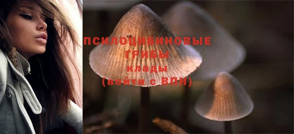мдпв Сосновка