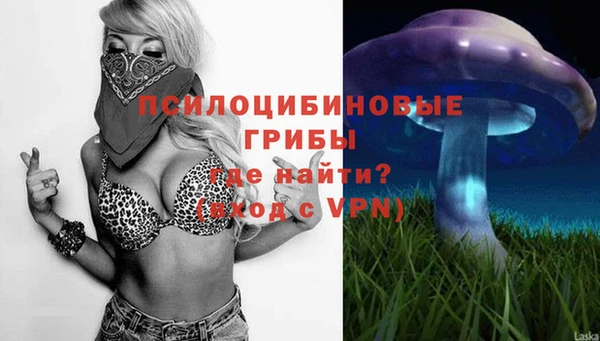 a pvp Сосновый Бор